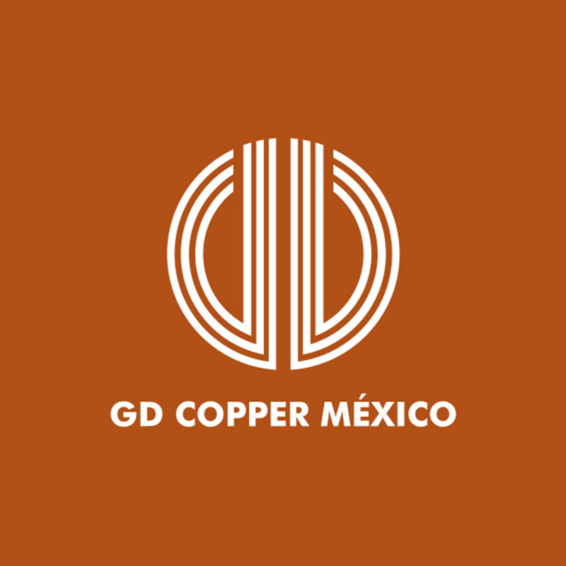 GD Cooper México